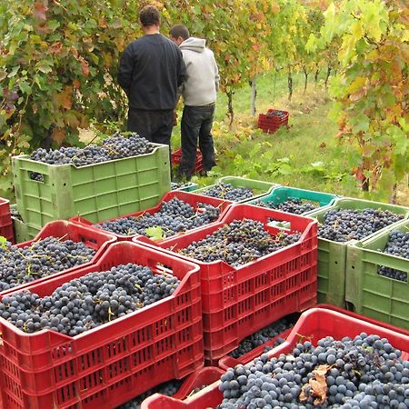 Podere Riosto Cantina&Agriturismo Pianoro Luaran gambar