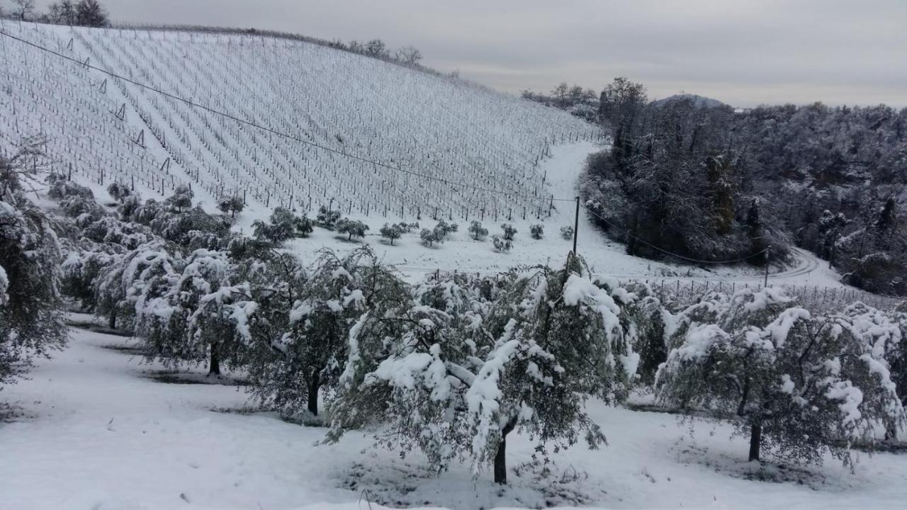 Podere Riosto Cantina&Agriturismo Pianoro Luaran gambar