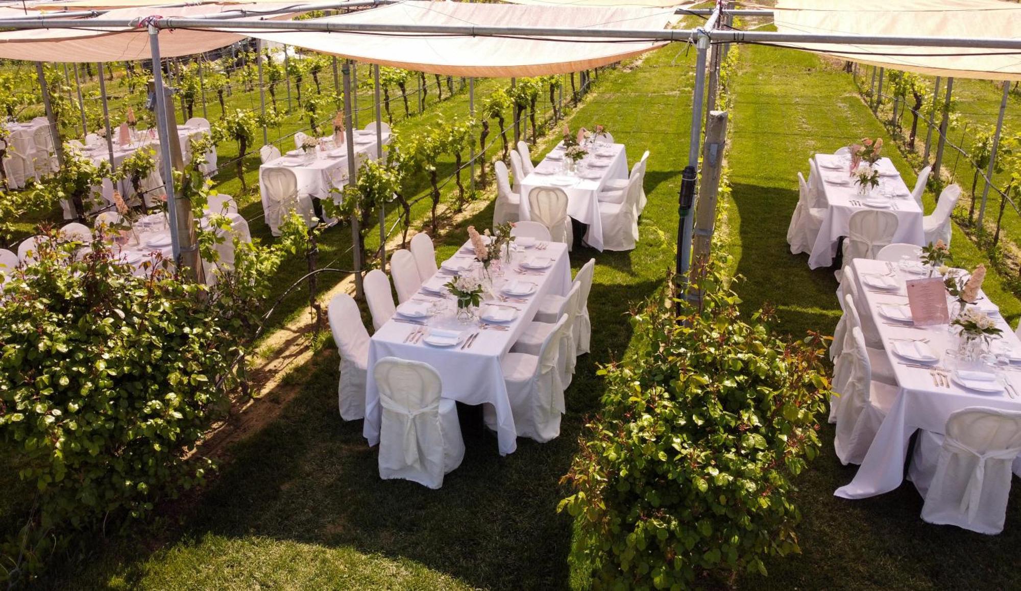 Podere Riosto Cantina&Agriturismo Pianoro Luaran gambar