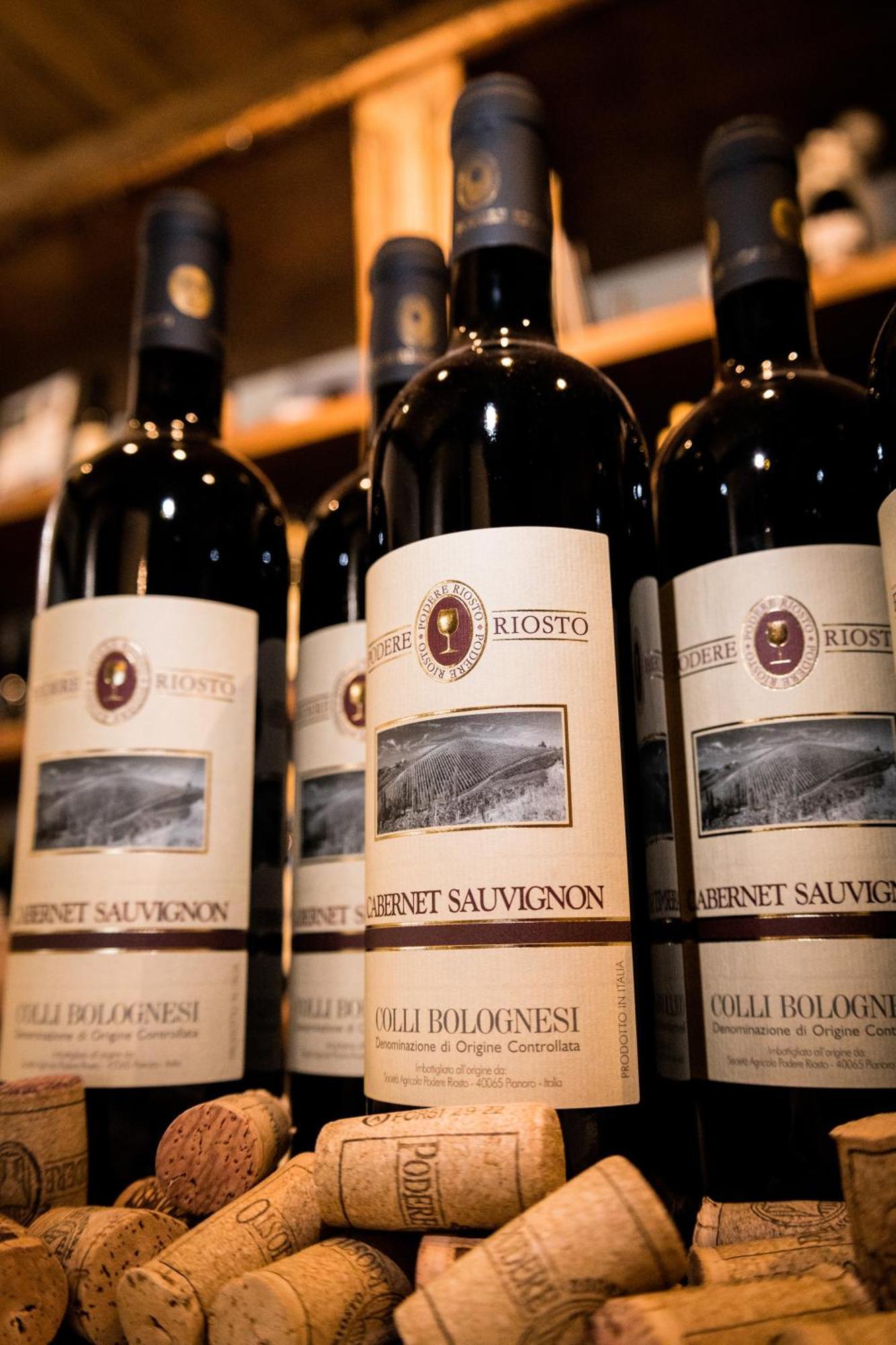 Podere Riosto Cantina&Agriturismo Pianoro Luaran gambar