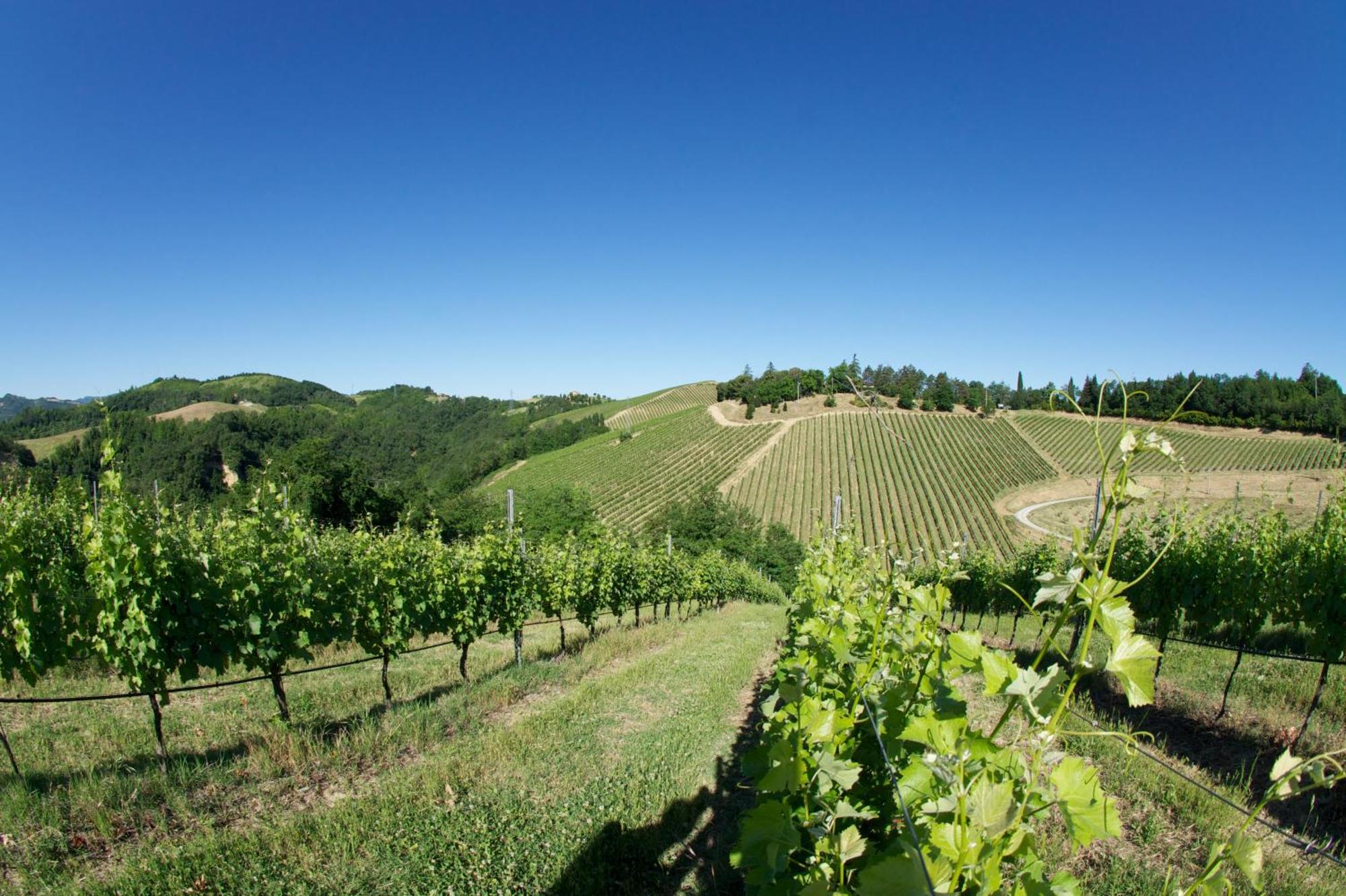 Podere Riosto Cantina&Agriturismo Pianoro Luaran gambar