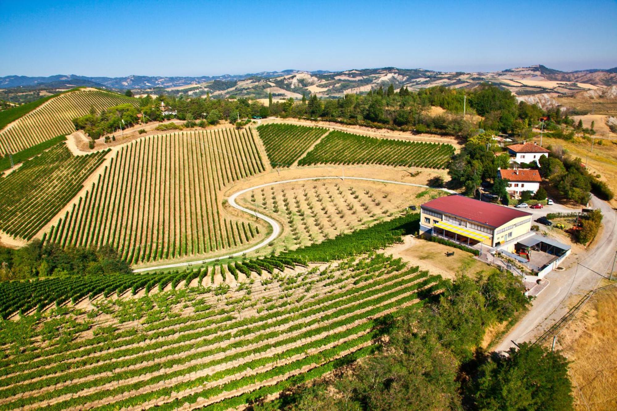 Podere Riosto Cantina&Agriturismo Pianoro Luaran gambar